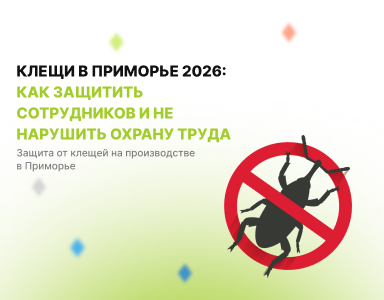 Клещи в Приморье 2026: как защитить сотрудников и не нарушить охрану труда